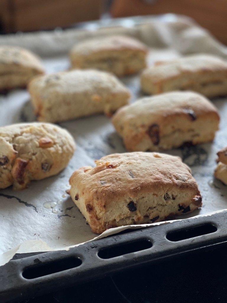 Scones on a baking tray. Steaming hot and golden.